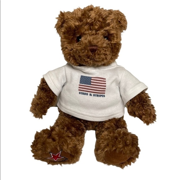 VINTAGE 2000 GUND STAR AND STRIPES WISH BEAR Brown Shaggy STUFFED ANIMAL PLUSH - Picture 1 of 10